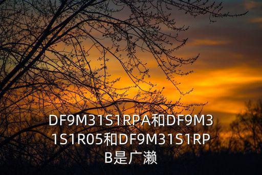 DF9M31S1RPA和DF9M31S1R05和DF9M31S1RPB是廣瀨