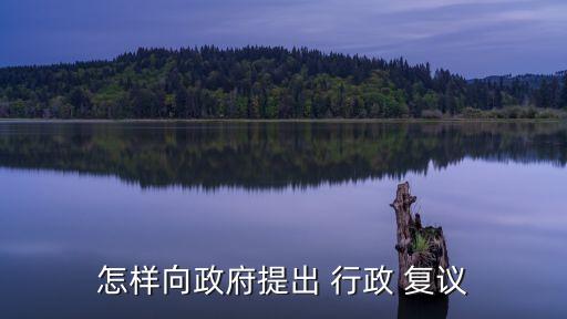 怎樣向政府提出 行政 復議