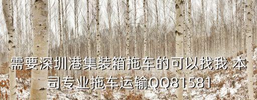 需要深圳港集裝箱拖車的可以找我 本司專業拖車運輸QQ81581