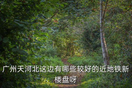 廣州天河北這邊有哪些較好的近地鐵新樓盤呀