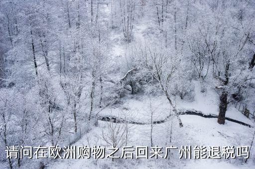 請問在歐洲購物之后回來廣州能退稅嗎