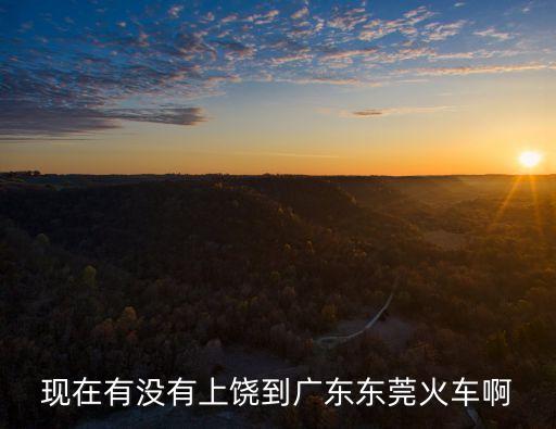 現在有沒有上饒到廣東東莞火車啊