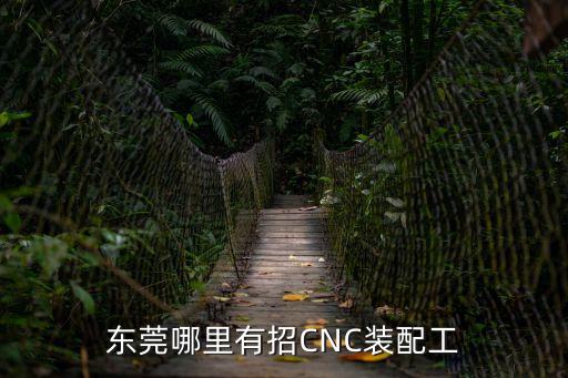 東莞哪里有招CNC裝配工
