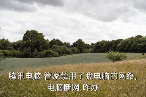 騰訊電腦 管家禁用了我電腦的網絡,電腦斷網,咋辦