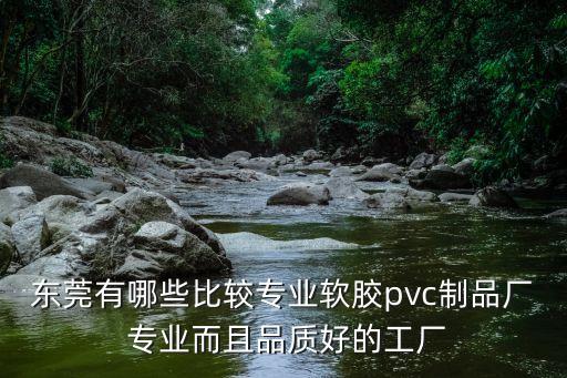 東莞有哪些比較專業軟膠pvc制品廠 專業而且品質好的工廠