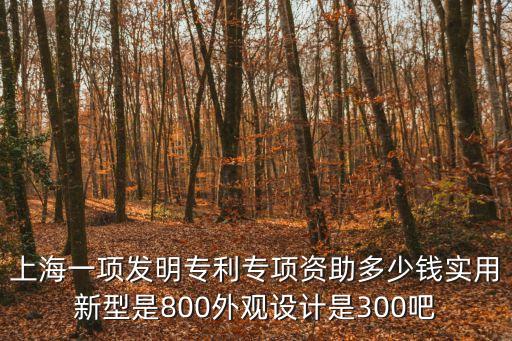 上海一項發明專利專項資助多少錢實用新型是800外觀設計是300吧