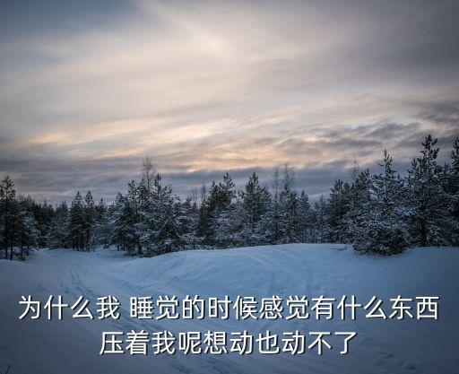 你睡覺的時候,你睡著的時候韓劇劇情