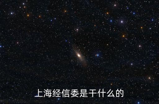 上海經(jīng)信委是干什么的