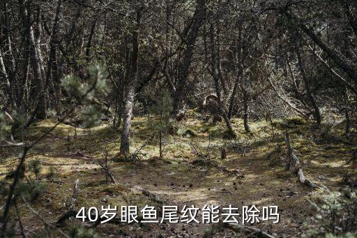 光波除皺,做魚尾紋除皺手術(shù)切口線設(shè)計(jì)通常采用臀部除皺用割口線