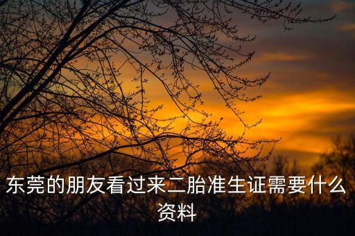 東莞的朋友看過來二胎準生證需要什么資料