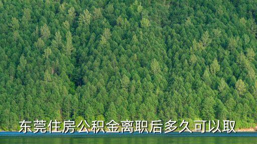 東莞住房公積金離職后多久可以取