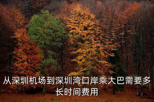 從深圳機場到深圳灣口岸乘大巴需要多長時間費用