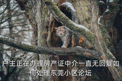 戶主正在辦理房產(chǎn)證中介一直無(wú)回復(fù)如何處理東莞小區(qū)論壇