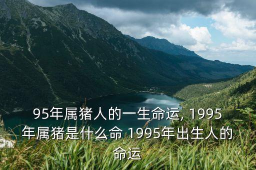 95年屬豬人的一生命運, 1995年屬豬是什么命 1995年出生人的命運