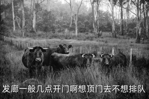 發(fā)廊一般幾點開門啊想頂門去不想排隊