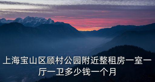 上海寶山區顧村公園附近整租房一室一廳一衛多少錢一個月