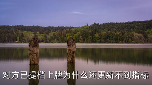 深圳單位指標更新不通過，深圳車牌過了戶社保不滿兩年更新不了指標怎么辦