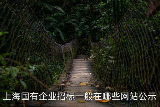 上海國有企業(yè)招標一般在哪些網站公示