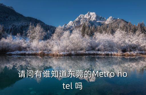 請問有誰知道東莞的Metro hotel 嗎