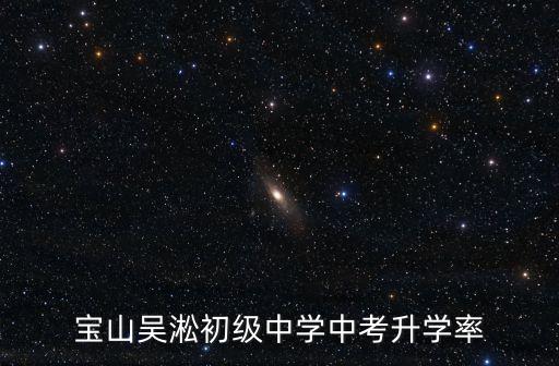 寶山吳淞初級中學中考升學率