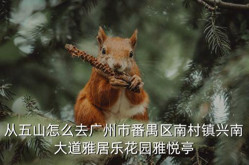 從五山怎么去廣州市番禺區南村鎮興南大道雅居樂花園雅悅亭