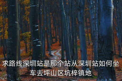 深圳地鐵14號線坑梓站的位置，深圳市坑梓公車站地鐵怎么座去