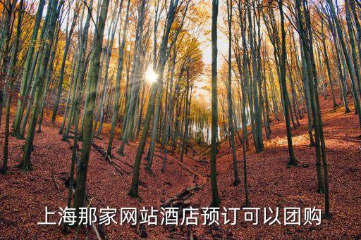 上海那家網(wǎng)站酒店預(yù)訂可以團(tuán)購