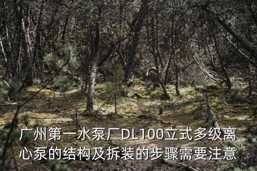 廣州第一水泵廠DL100立式多級離心泵的結構及拆裝的步驟需要注意