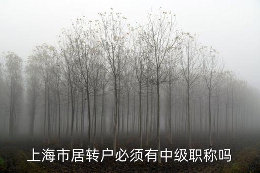 上海市居轉戶必須有中級職稱嗎