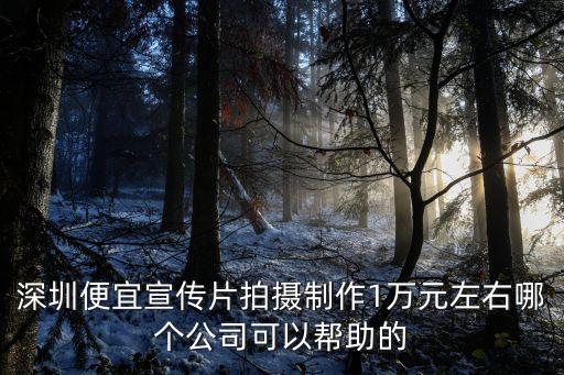 深圳便宜宣傳片拍攝制作1萬元左右哪個公司可以幫助的