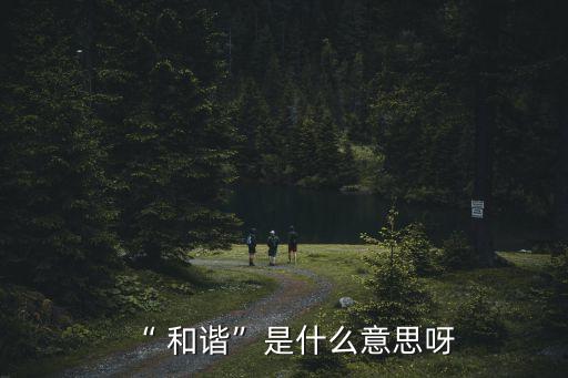 “ 和諧”是什么意思呀