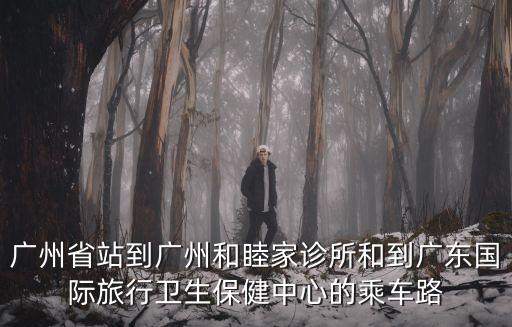 廣州和睦家醫院 琶洲，廣州省站到廣州和睦家診所和到廣東國際旅行衛生保健中心的乘車路