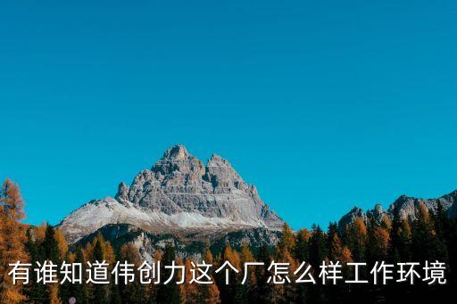 有誰知道偉創力這個廠怎么樣工作環境