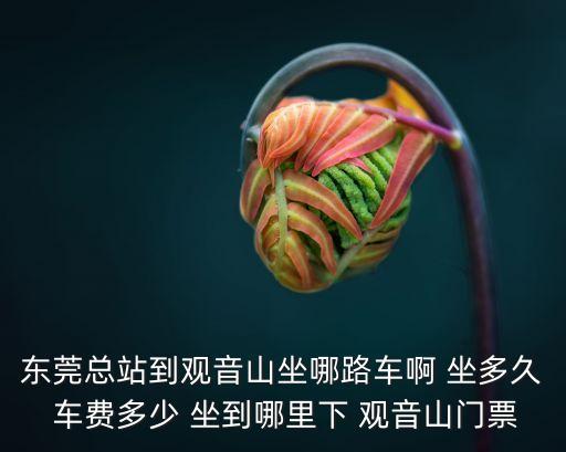 東莞總站到觀音山坐哪路車啊 坐多久 車費多少 坐到哪里下 觀音山門票