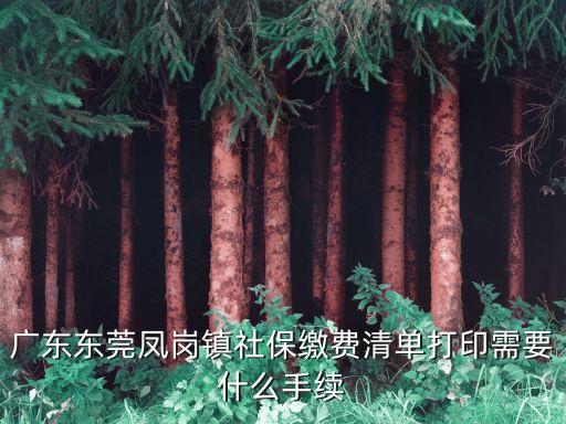 廣東東莞鳳崗鎮(zhèn)社保繳費(fèi)清單打印需要什么手續(xù)