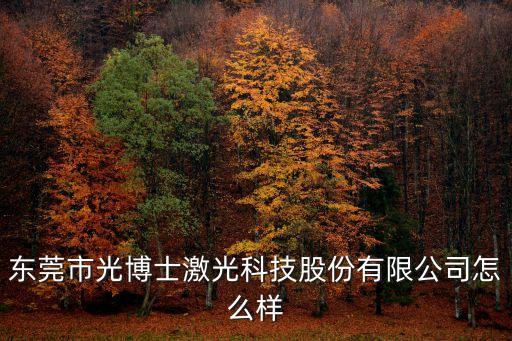 東莞市光博士激光科技股份有限公司怎么樣
