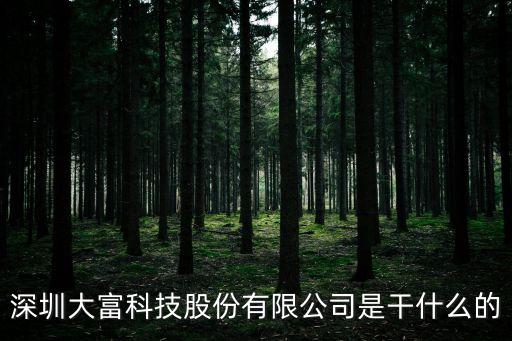 深圳大富科技股份有限公司是干什么的