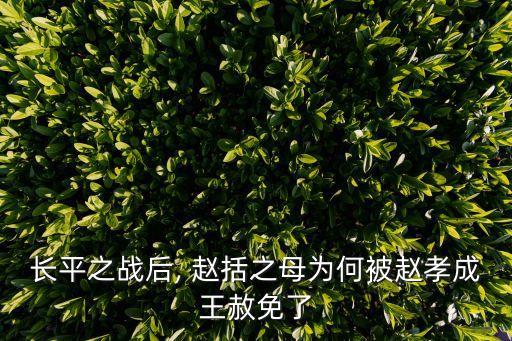 長平之戰后, 趙括之母為何被趙孝成王赦免了