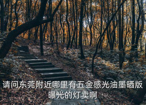 請問東莞附近哪里有五金感光油墨曬版曝光的燈賣啊