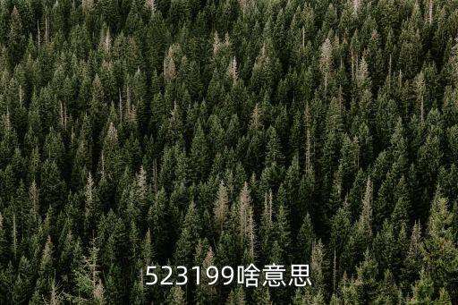 523199啥意思