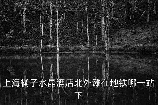 上海市普陀區(qū)橙子酒店，上海地鐵2號線去上海橘子酒店川沙店