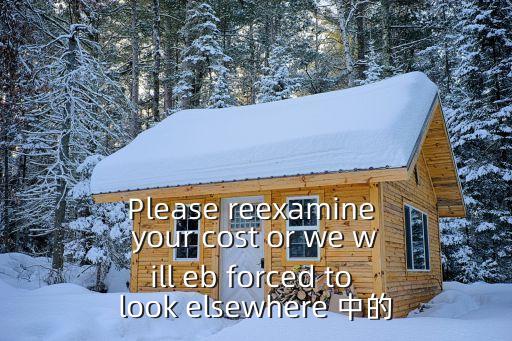 上海市工商聯(lián)13屆執(zhí)委會(huì)，Please reexamine your cost or we will eb forced to look elsewhere 中的