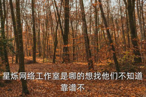 星爍網絡工作室是哪的想找他們不知道靠譜不