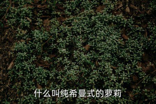 什么叫純希曼式的蘿莉