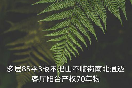 多層85平3樓不把山不臨街南北通透客廳陽臺產權70年物