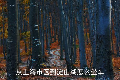 上海市區到淀山湖梅園怎樣走，上海市區駕車去上海淀山湖風景區怎么走