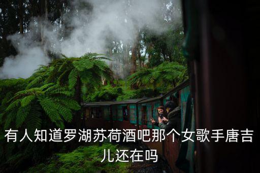 有人知道羅湖蘇荷酒吧那個女歌手唐吉兒還在嗎