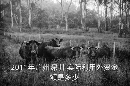 2011年廣州深圳 實際利用外資金額是多少