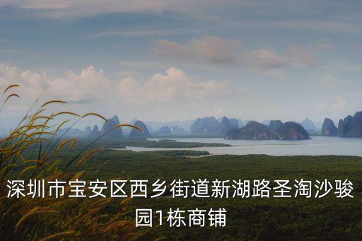深圳市寶安區(qū)西鄉(xiāng)街道新湖路圣淘沙駿園1棟商鋪