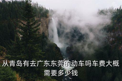 從青島有去廣東東莞的動車嗎車費(fèi)大概需要多少錢